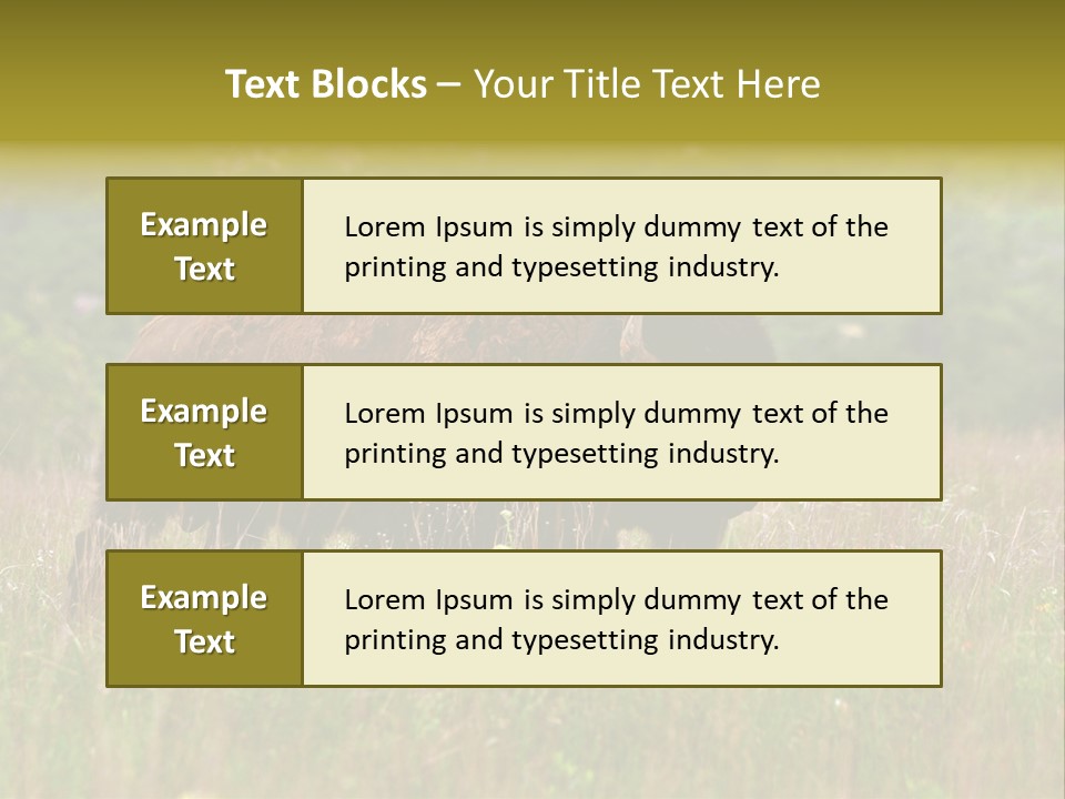 Farm National Western PowerPoint Template