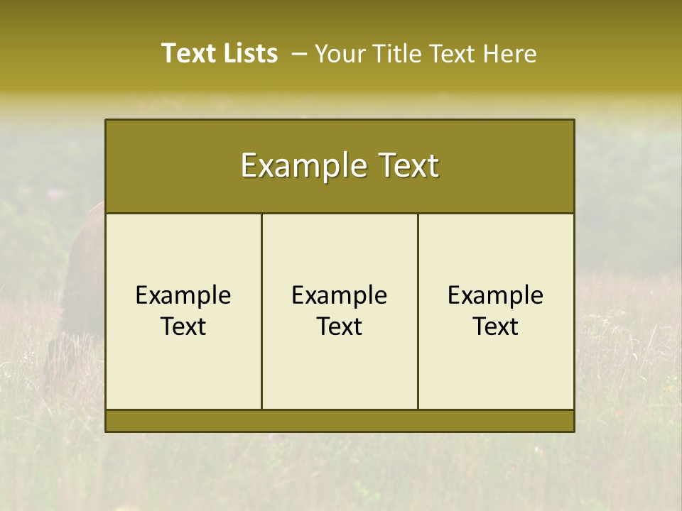 Farm National Western PowerPoint Template