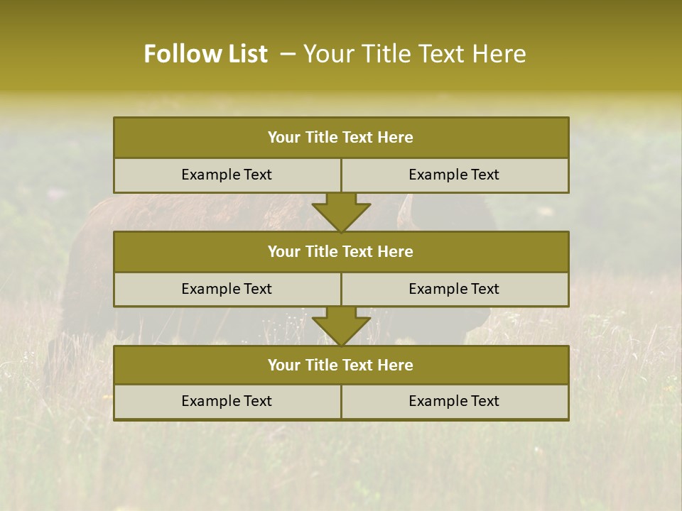 Farm National Western PowerPoint Template