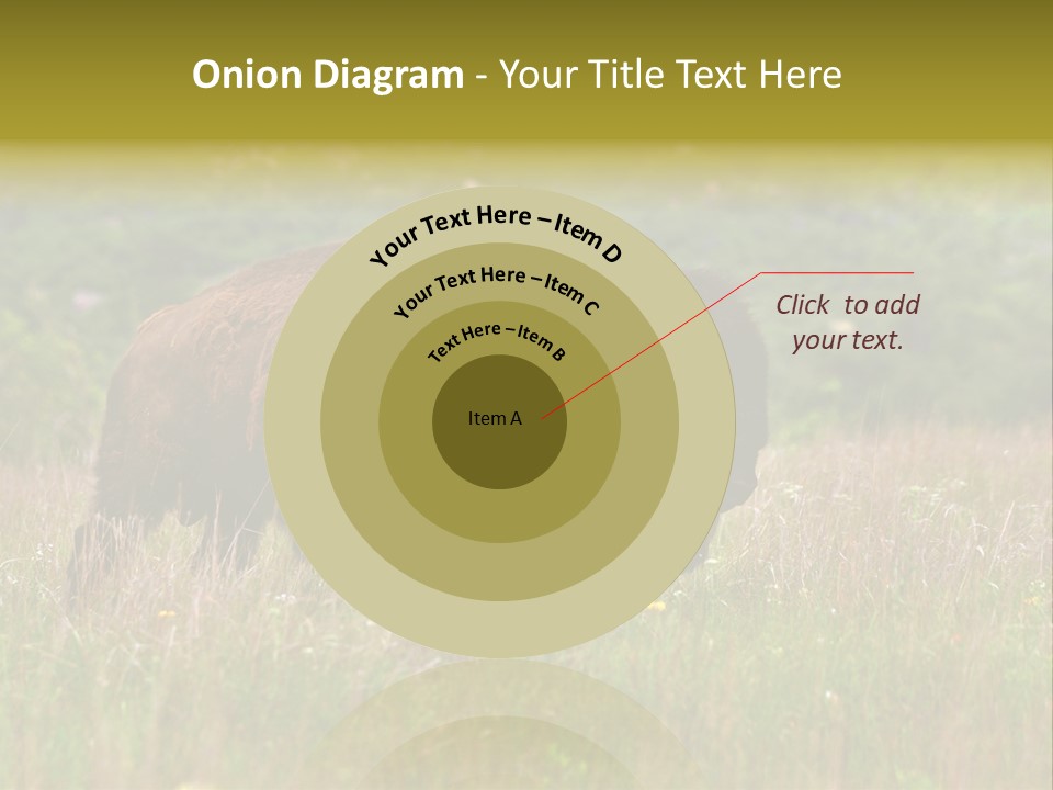 Farm National Western PowerPoint Template