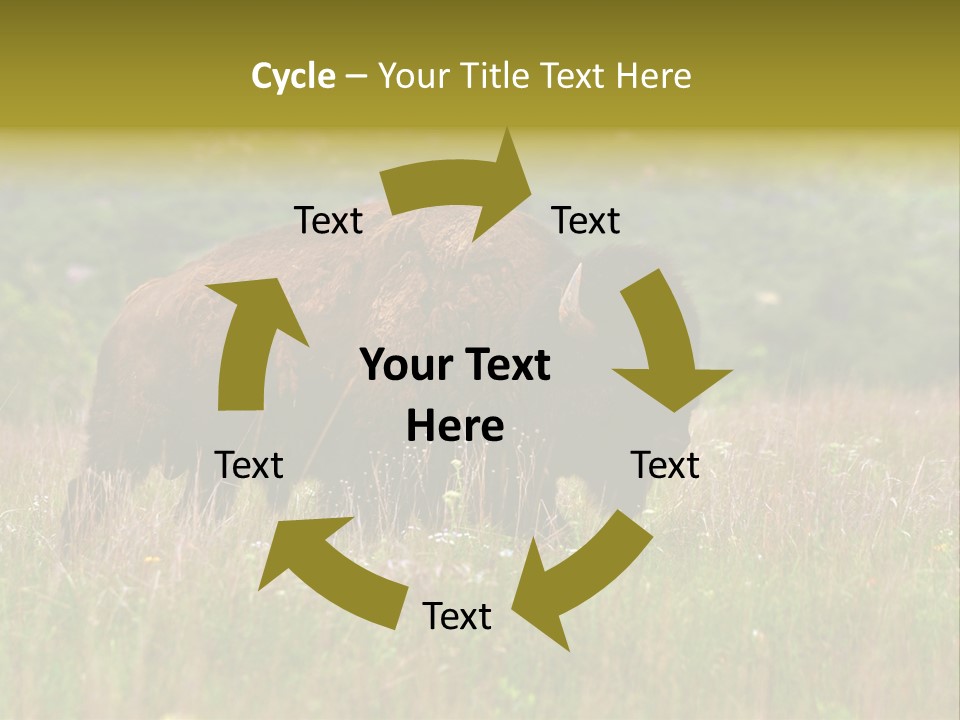 Farm National Western PowerPoint Template