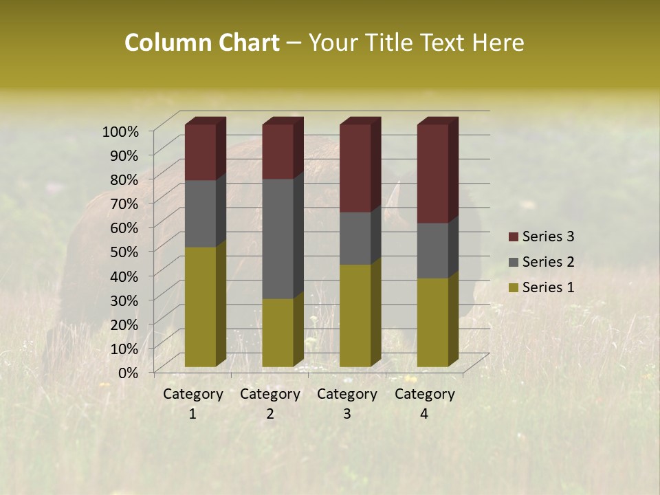 Farm National Western PowerPoint Template