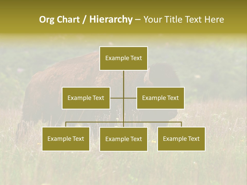 Farm National Western PowerPoint Template