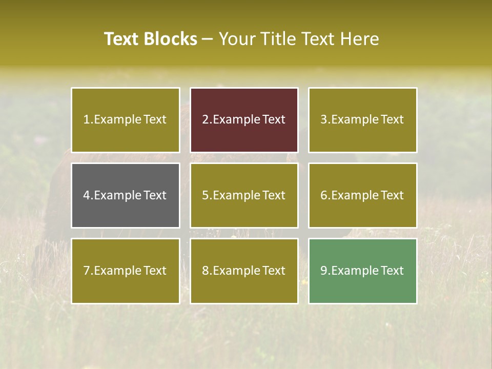 Farm National Western PowerPoint Template