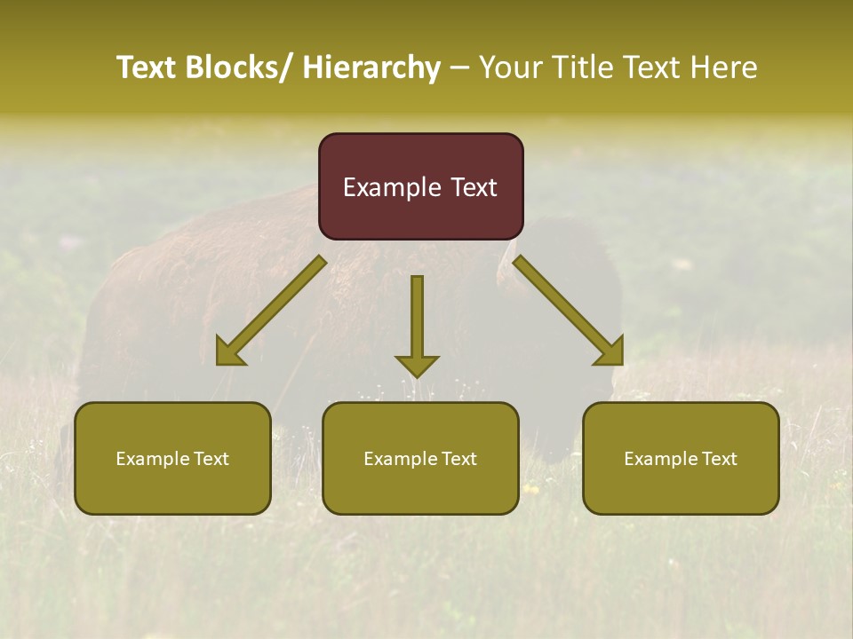 Farm National Western PowerPoint Template