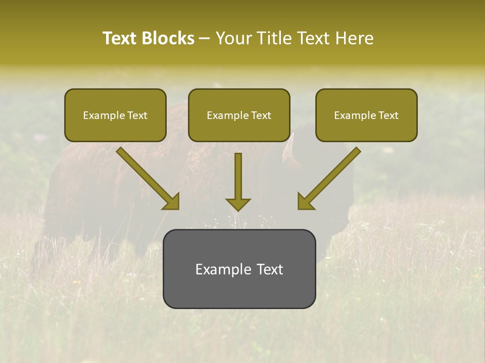 Farm National Western PowerPoint Template