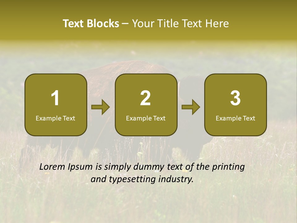 Farm National Western PowerPoint Template