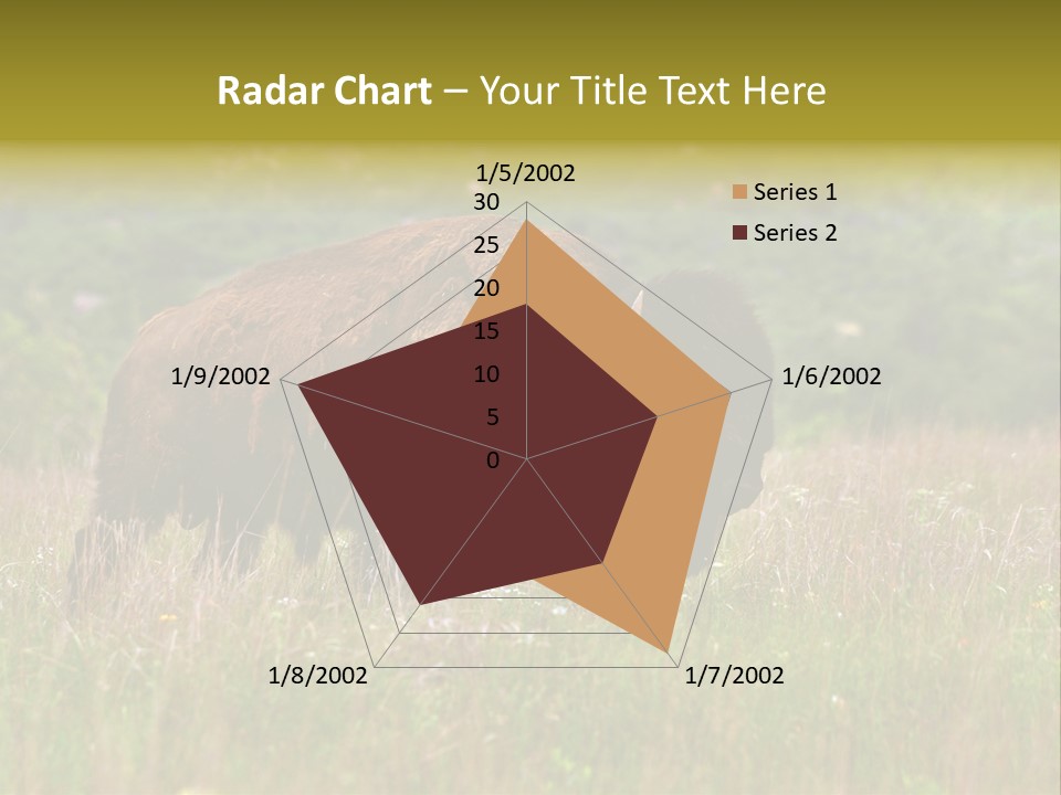 Farm National Western PowerPoint Template