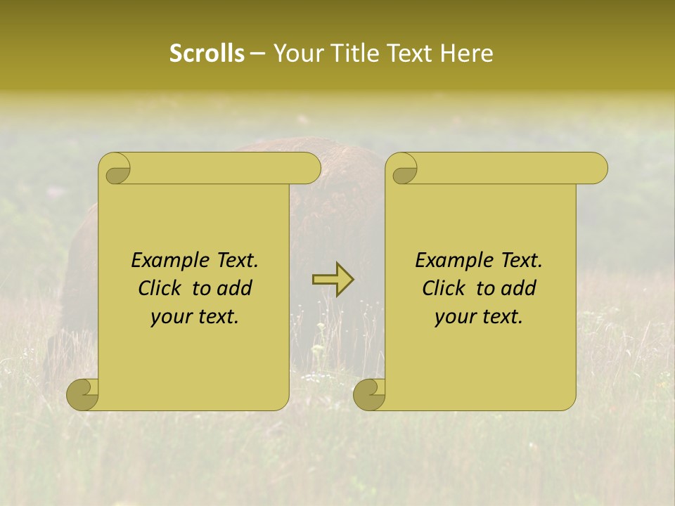 Farm National Western PowerPoint Template