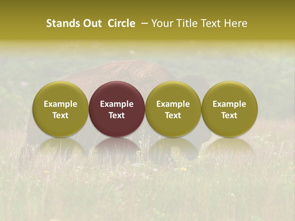 Farm National Western PowerPoint Template