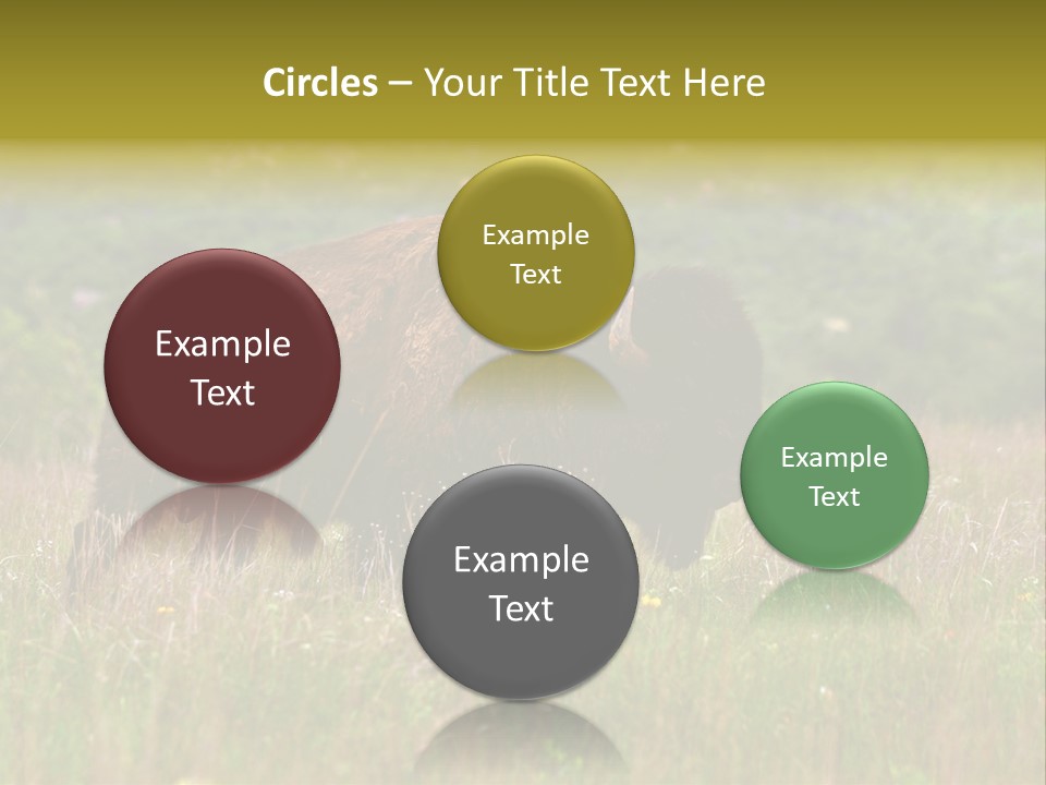 Farm National Western PowerPoint Template