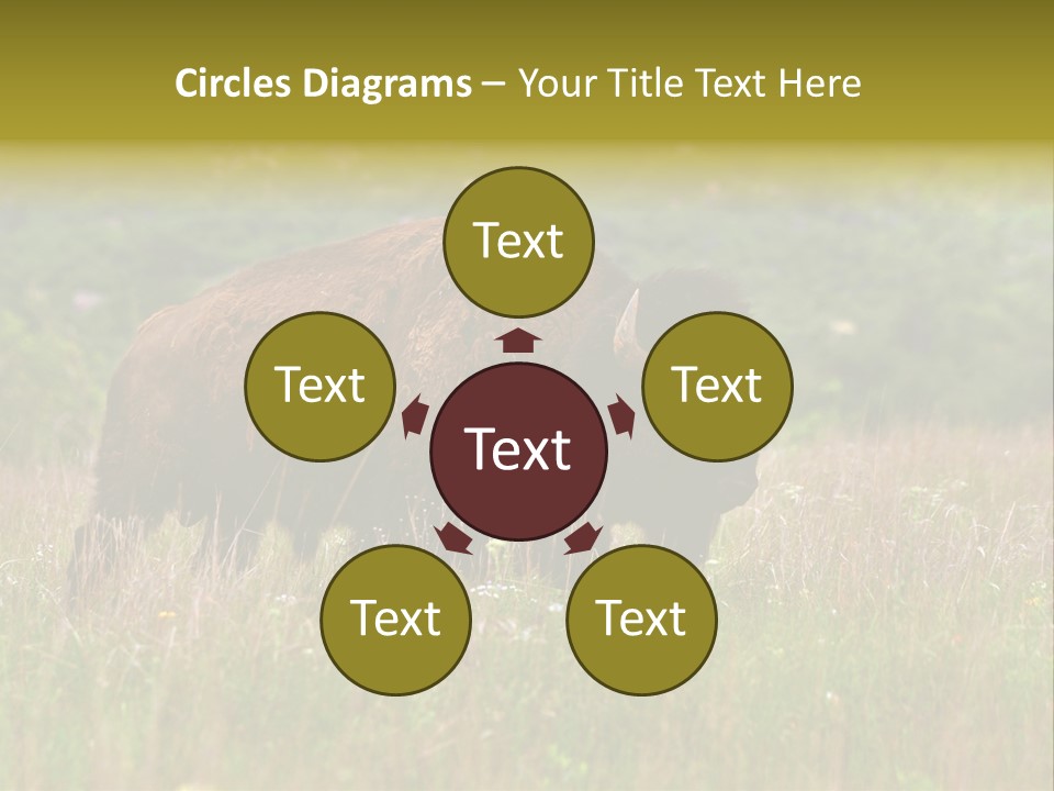 Farm National Western PowerPoint Template