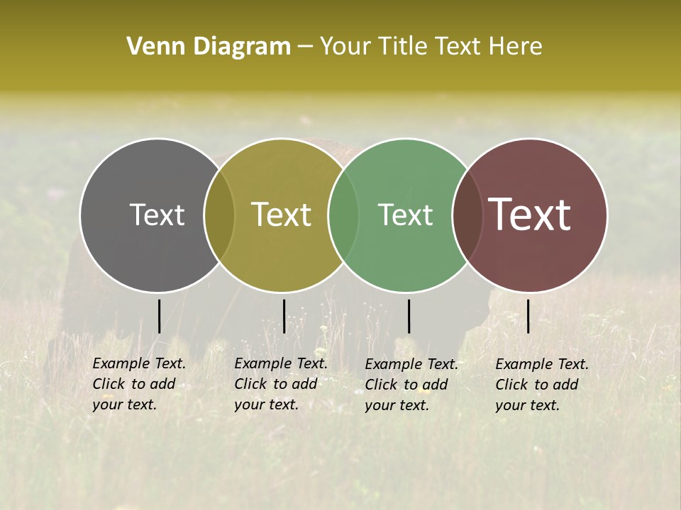 Farm National Western PowerPoint Template