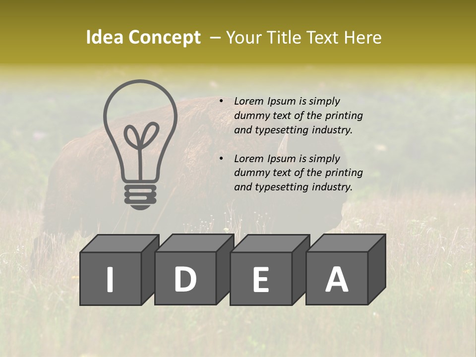 Farm National Western PowerPoint Template