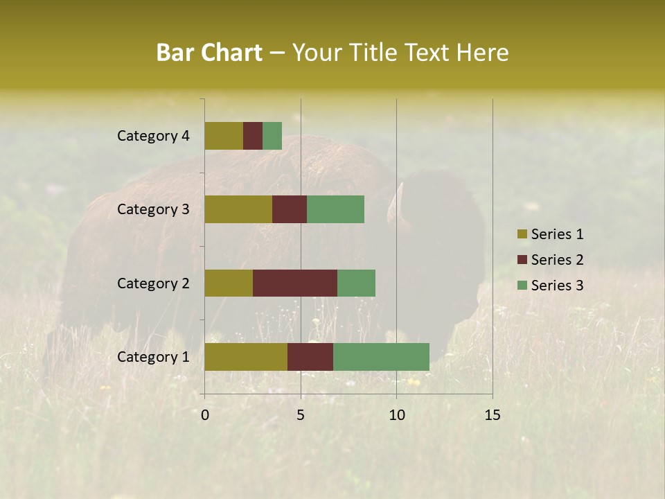 Farm National Western PowerPoint Template