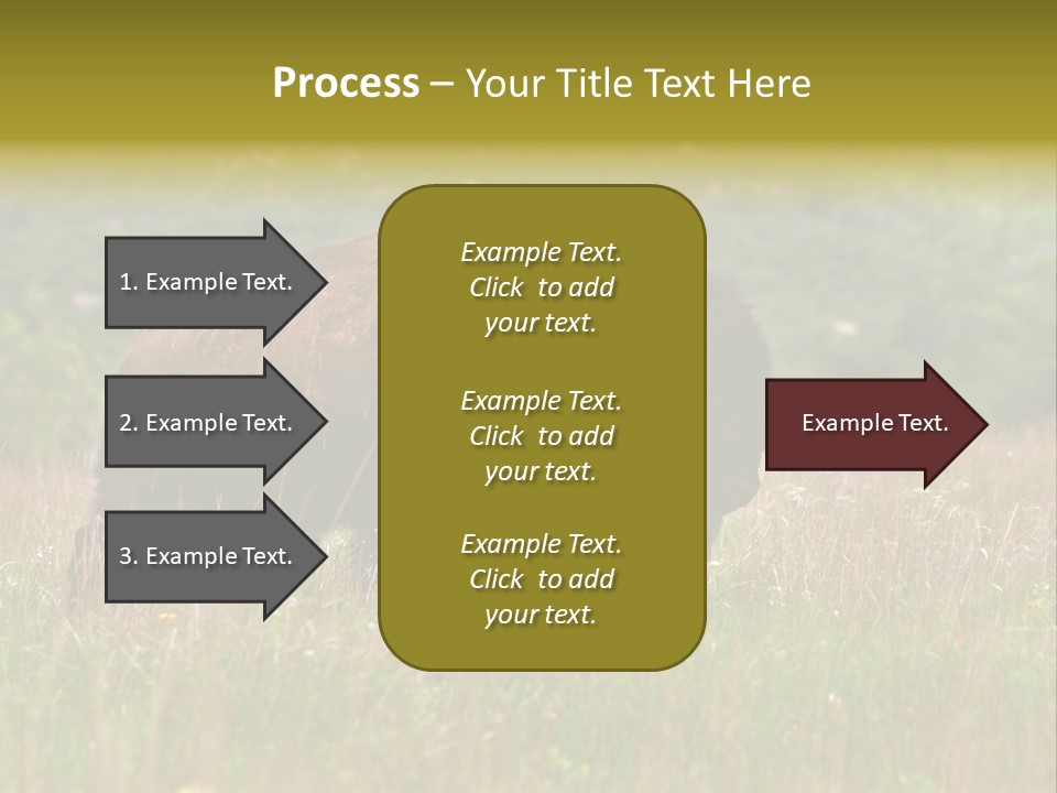 Farm National Western PowerPoint Template