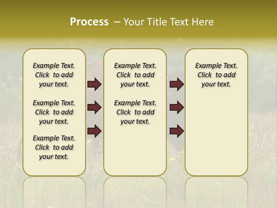 Farm National Western PowerPoint Template