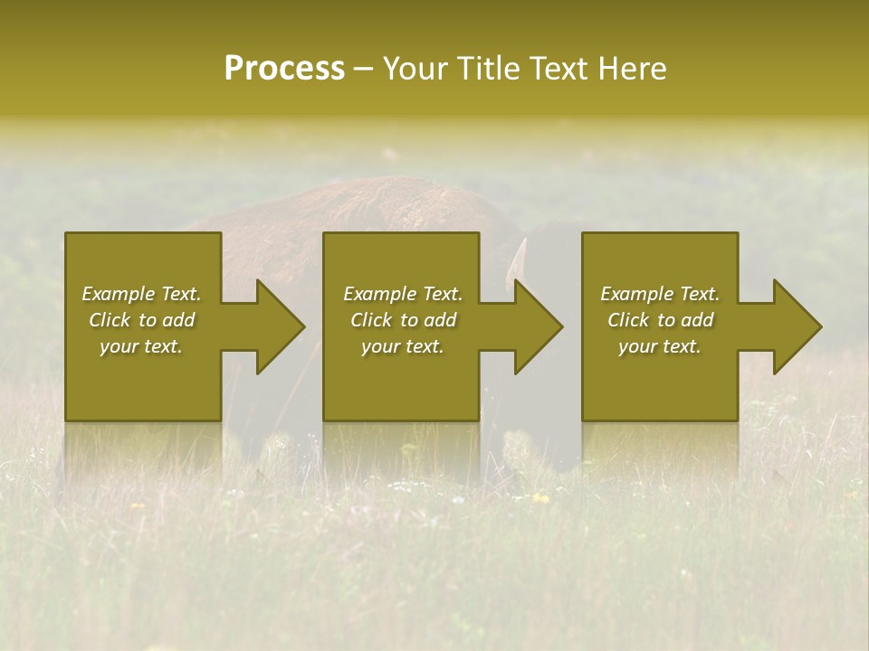 Farm National Western PowerPoint Template