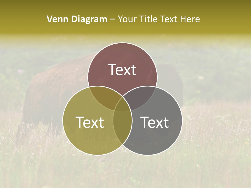 Farm National Western PowerPoint Template