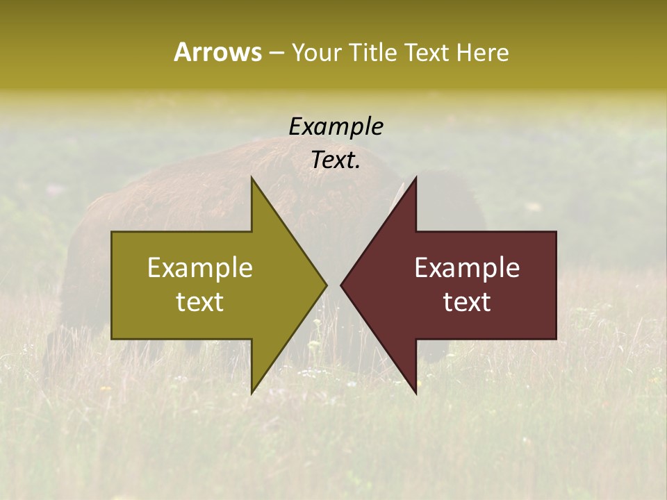 Farm National Western PowerPoint Template