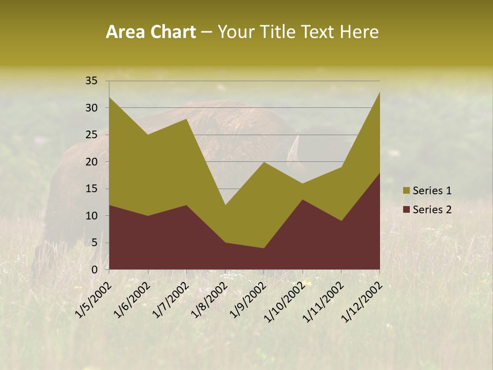 Farm National Western PowerPoint Template