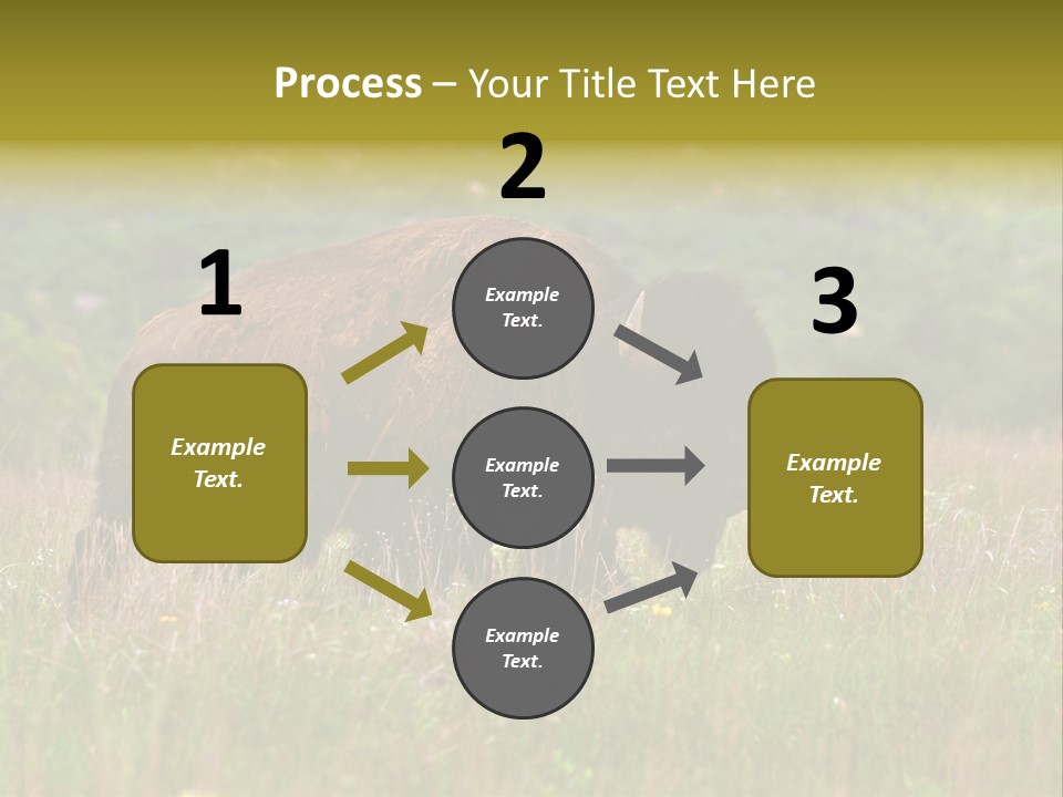 Farm National Western PowerPoint Template