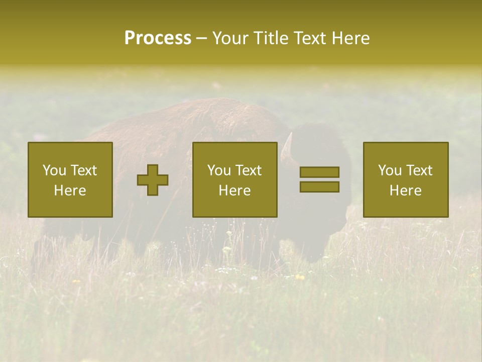 Farm National Western PowerPoint Template