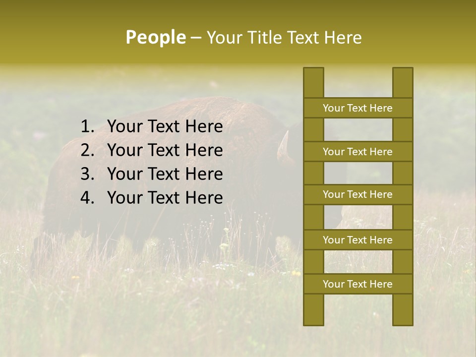 Farm National Western PowerPoint Template