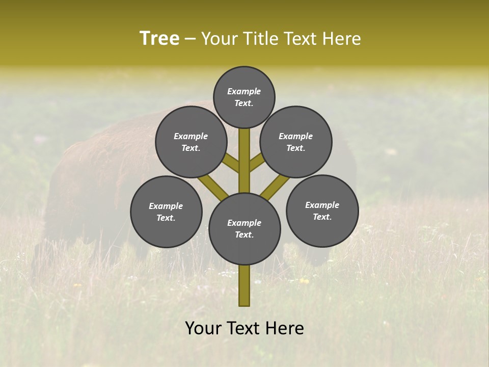 Farm National Western PowerPoint Template