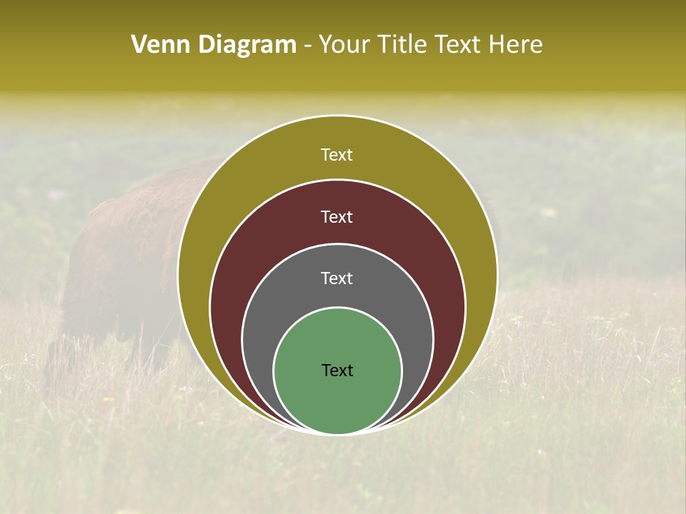 Farm National Western PowerPoint Template