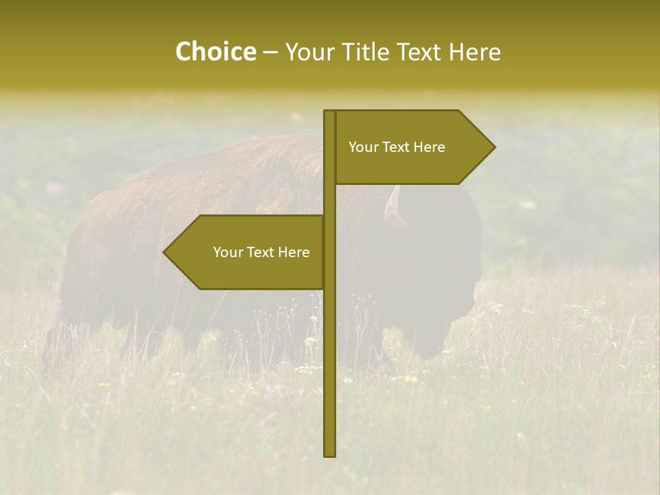 Farm National Western PowerPoint Template