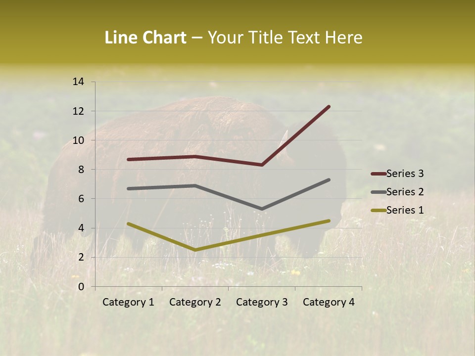 Farm National Western PowerPoint Template