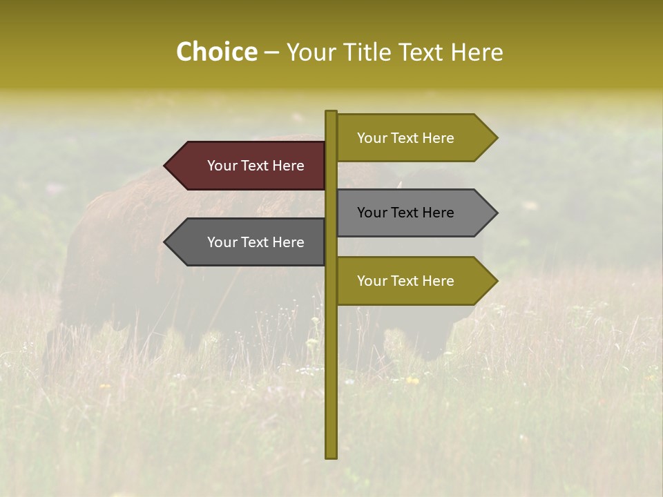 Farm National Western PowerPoint Template