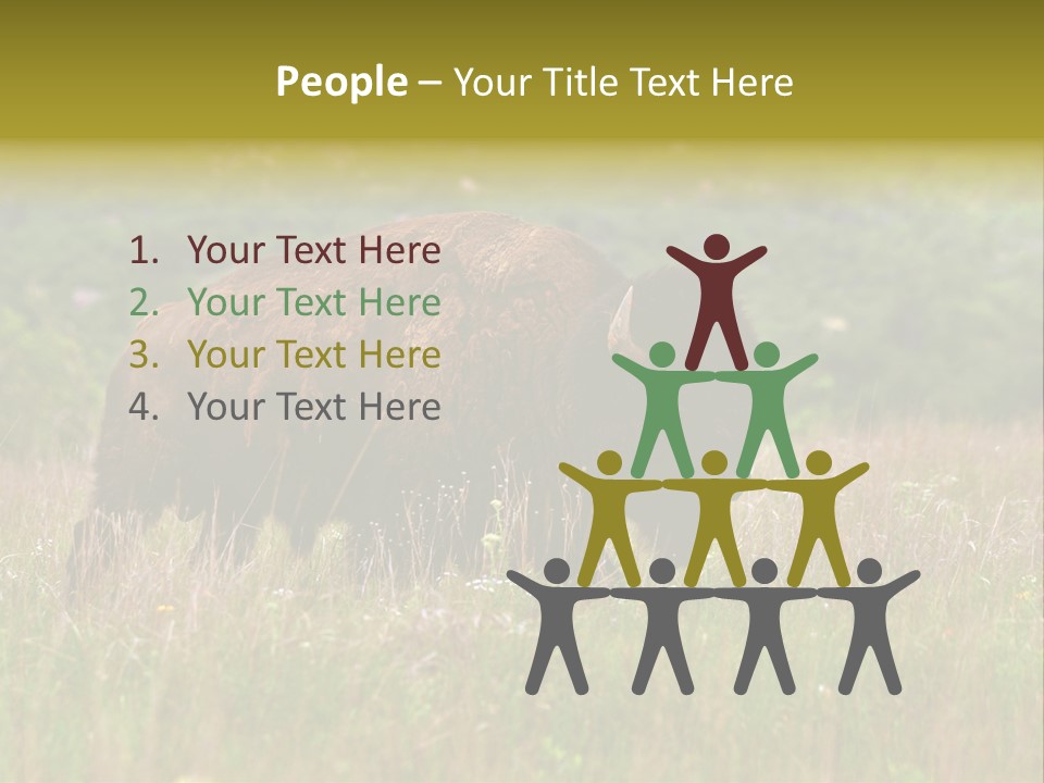 Farm National Western PowerPoint Template