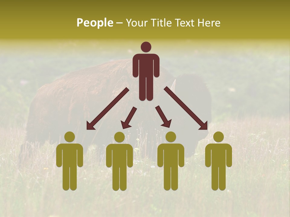 Farm National Western PowerPoint Template