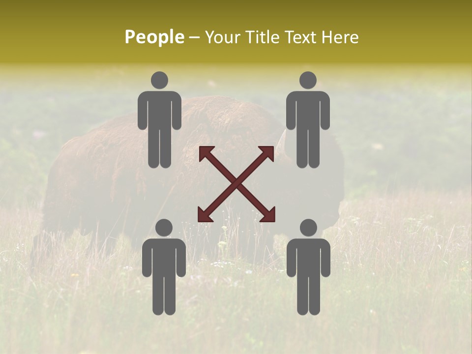 Farm National Western PowerPoint Template