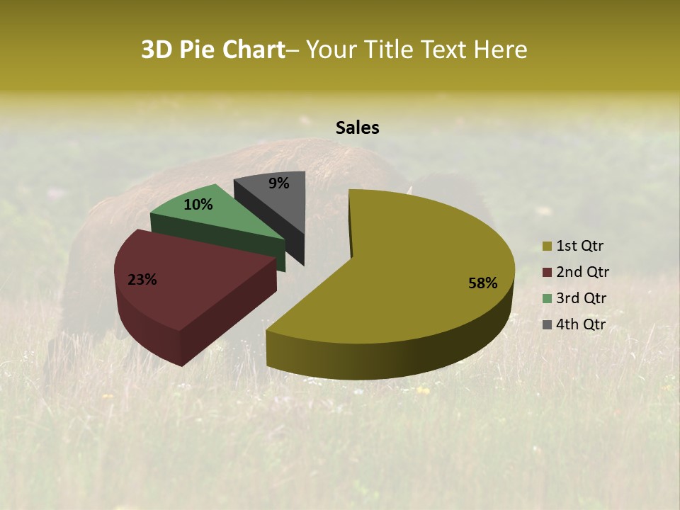 Farm National Western PowerPoint Template