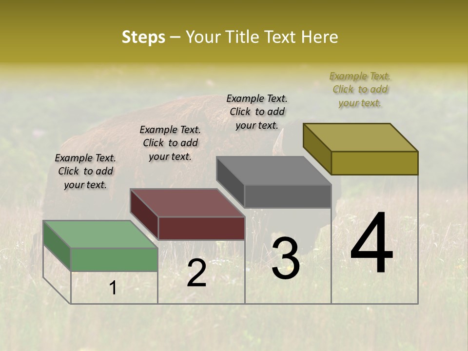 Farm National Western PowerPoint Template