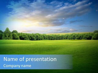 Tree Sceneary Outdoors PowerPoint Template