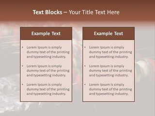 Barbeque Charcoal Tin PowerPoint Template