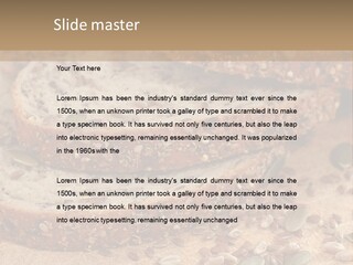 Diet Spread Meal PowerPoint Template