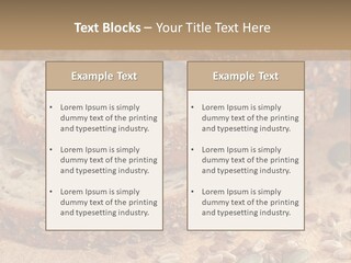 Diet Spread Meal PowerPoint Template