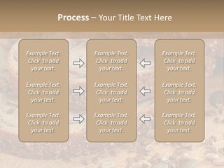 Diet Spread Meal PowerPoint Template