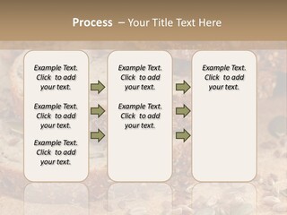Diet Spread Meal PowerPoint Template