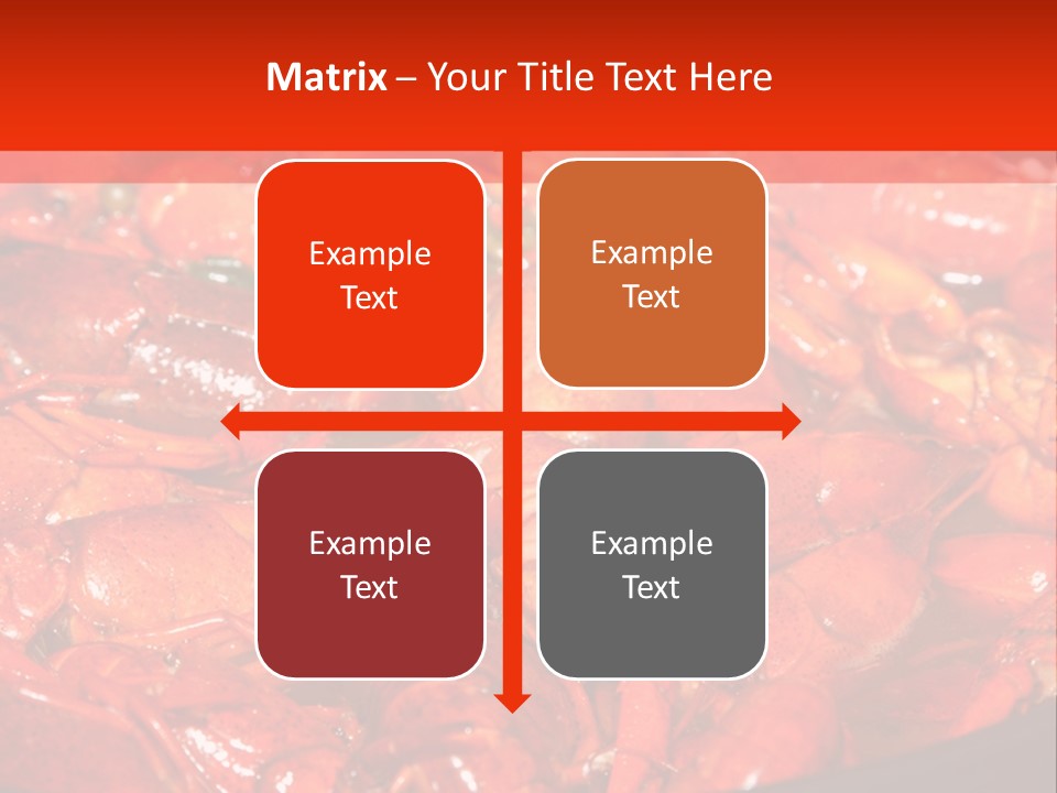 Spice Orleans Shell PowerPoint Template