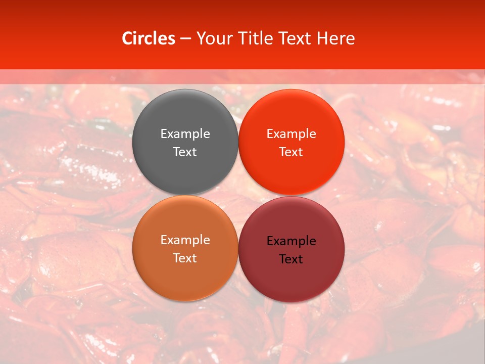 Spice Orleans Shell PowerPoint Template