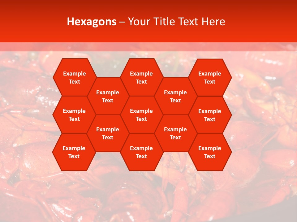 Spice Orleans Shell PowerPoint Template