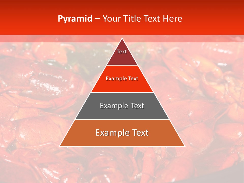 Spice Orleans Shell PowerPoint Template