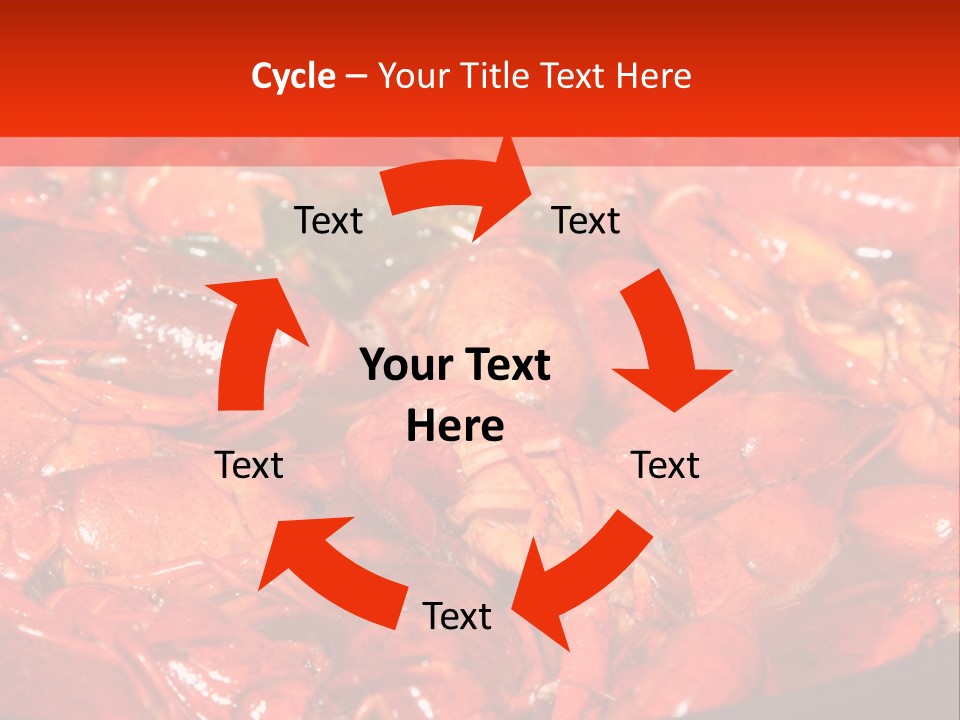 Spice Orleans Shell PowerPoint Template