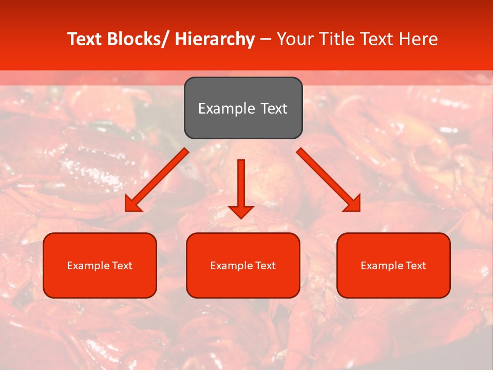 Spice Orleans Shell PowerPoint Template